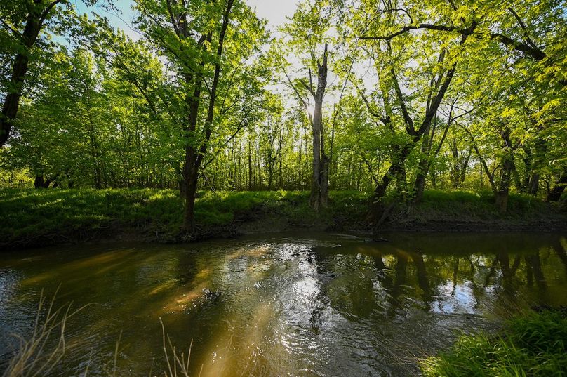 vandalia 450 (2)-3018