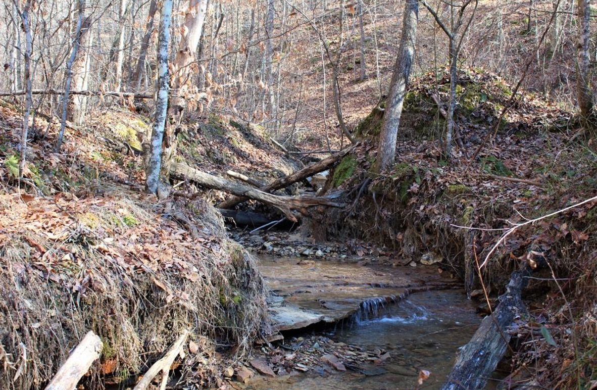 002 seasonal stream flowing south through the property