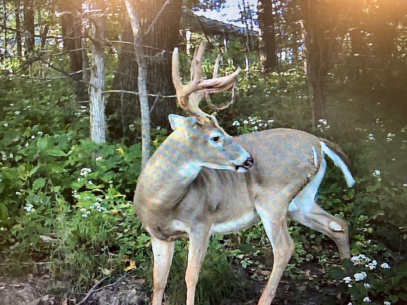 71008639756__F2AE5605-F906-4CF6-9136-E1905671D666