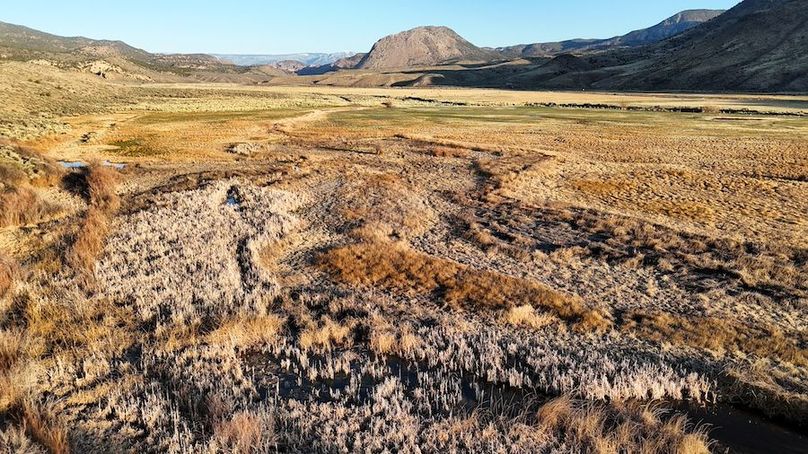 DJI_20250414073319_0040_D