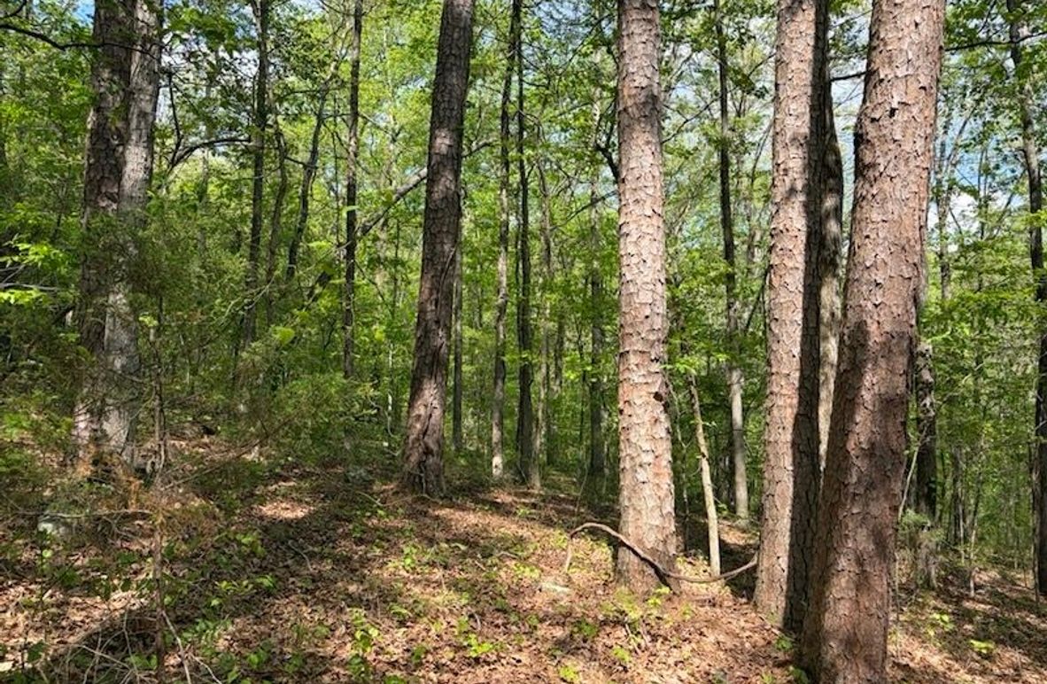 3FA9438D-B1DE-46A2-B4F4-DD1CC8BD2C12_1_105_c