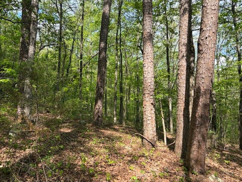 3FA9438D-B1DE-46A2-B4F4-DD1CC8BD2C12_1_105_c