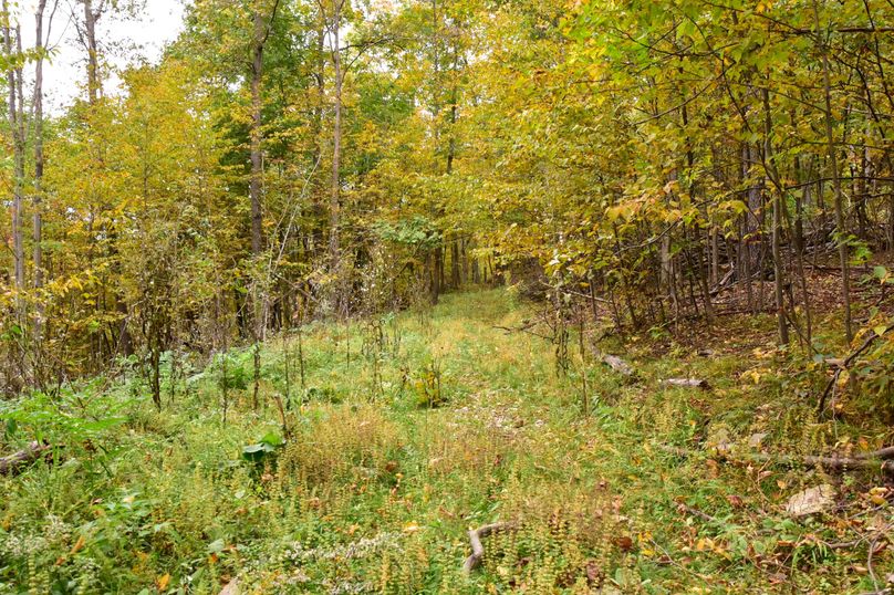 Chemung_29.5_Frantellizzi_Photo_10