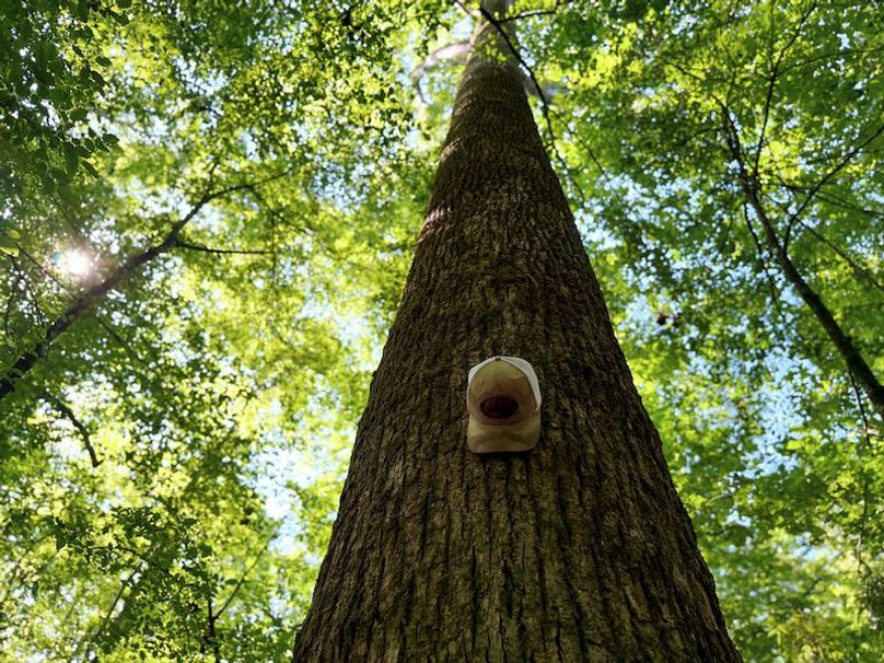 Itawamba 400 Moore-21