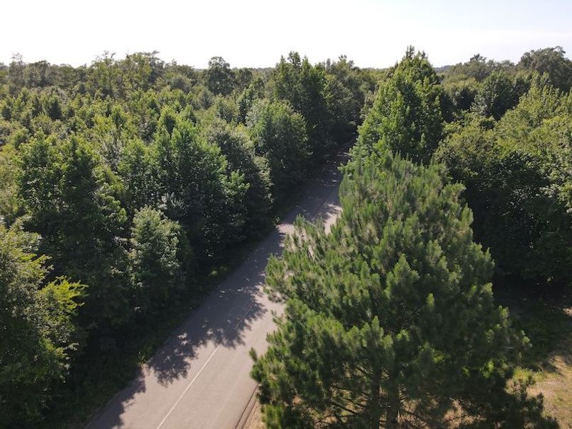 DJI_0384