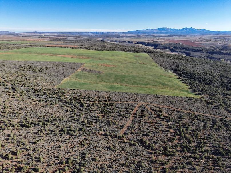 DJI_20260423080458_0227_D