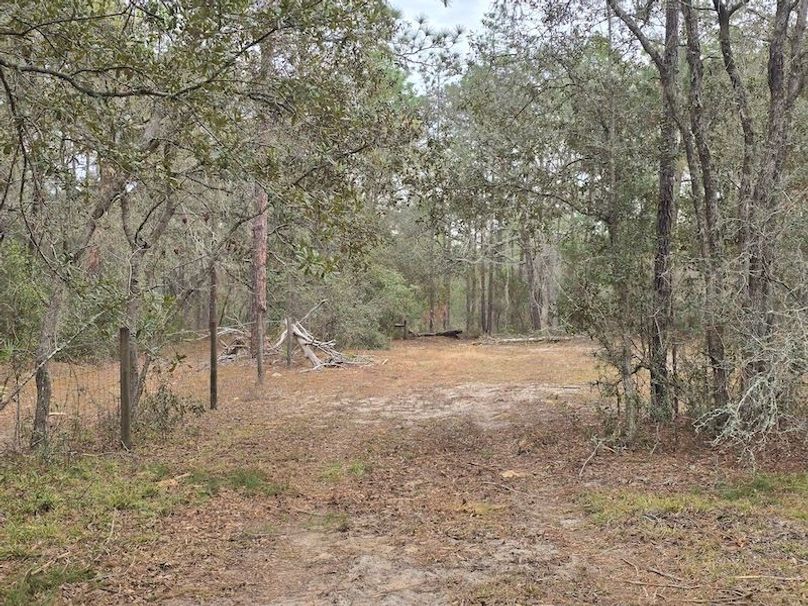 5ac, Marion, Andrew Goering12