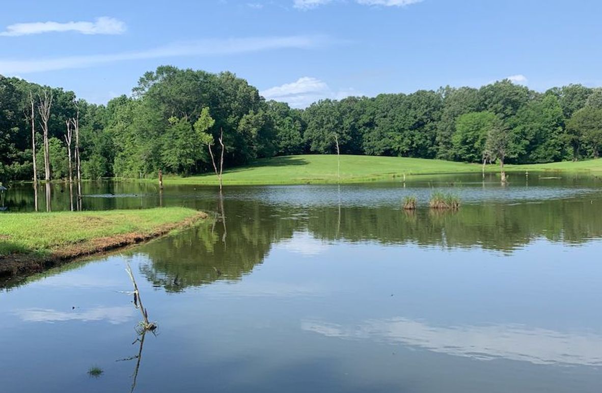 Hinds Co - 53.51 - MT Beasley-4