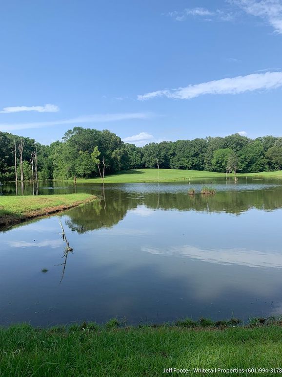 Hinds Co - 53.51 - MT Beasley-4