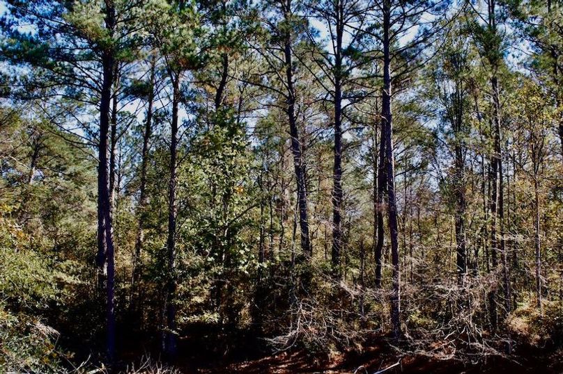 8199B51B-4D66-4F1E-AF67-A1392E300472_1_105_c