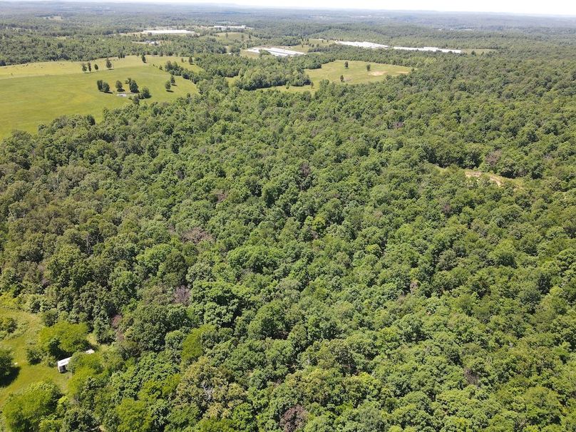 dji_fly_20260507_122216_736_1778174547249_photo