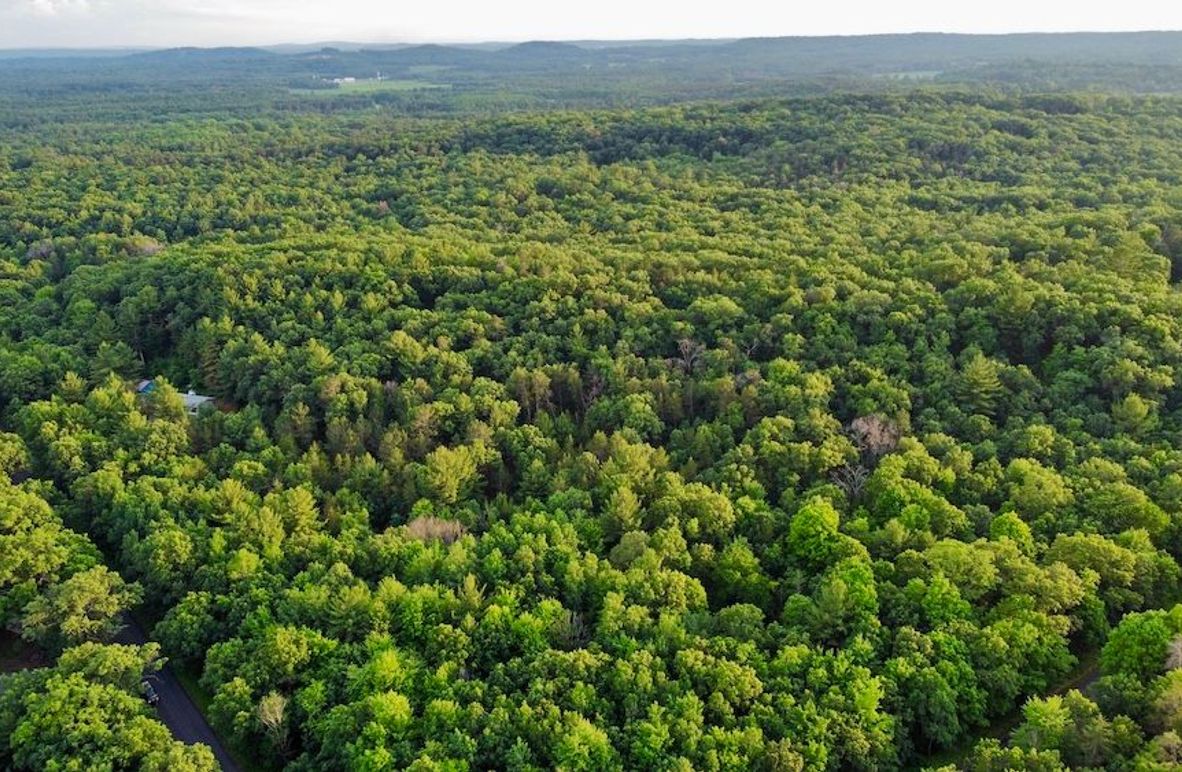 dji_fly_20250624_195348_886_1750813888927_photo_optimized