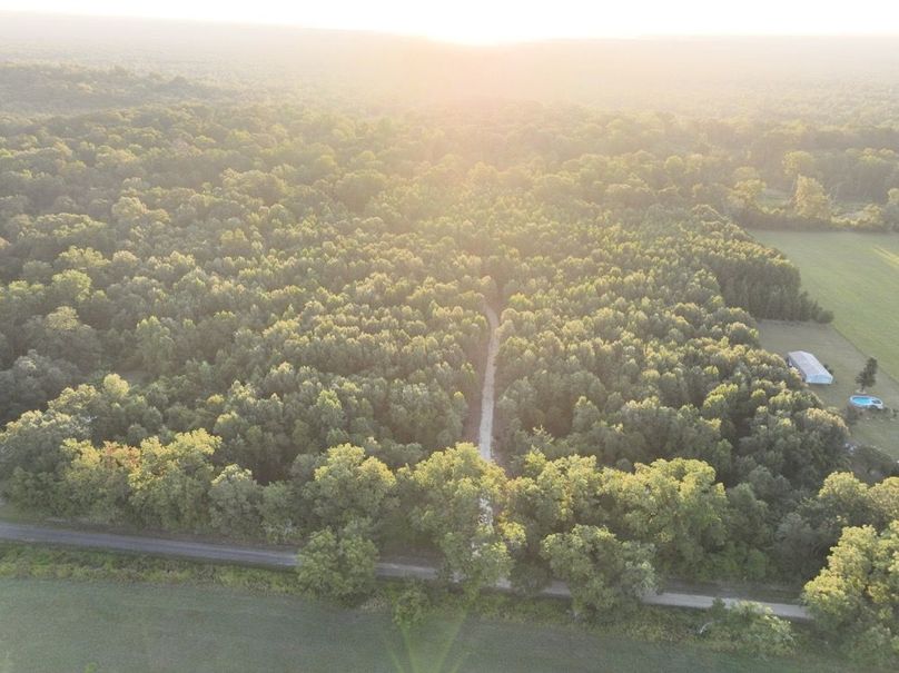 dji_fly_20250909_072342_178_1757426942845_photo