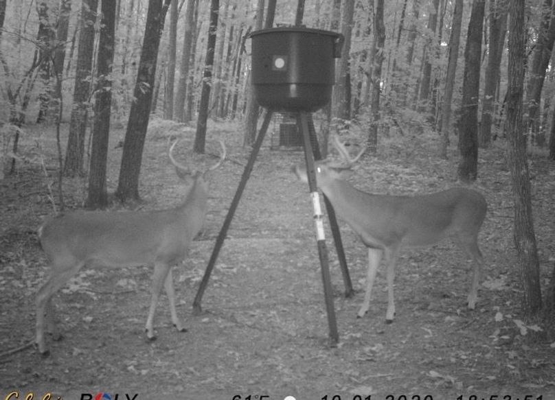 Photo Apr 20 2026, 4 33 08 PM