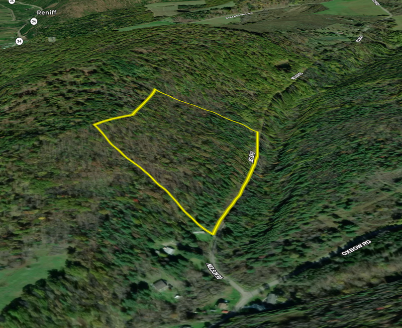 Tioga_20_Peters LandID Map 5