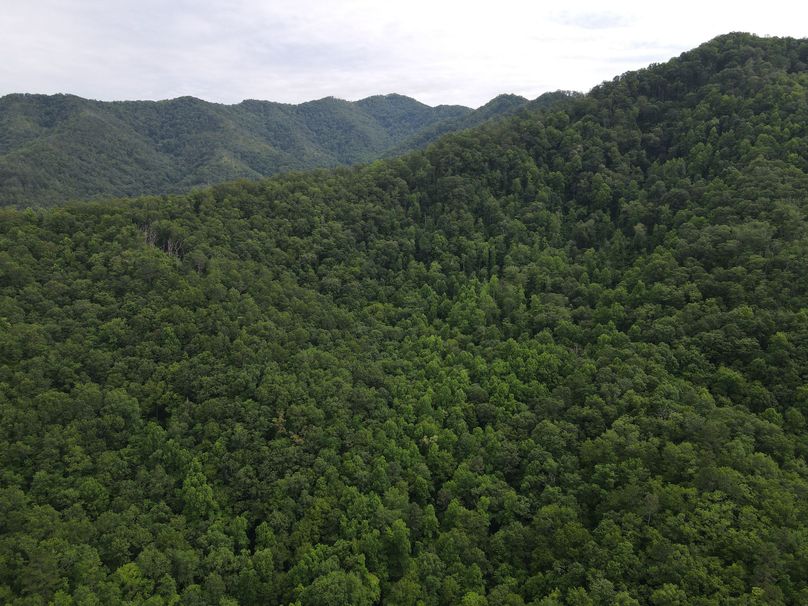 Swain 39 Tysinger-14