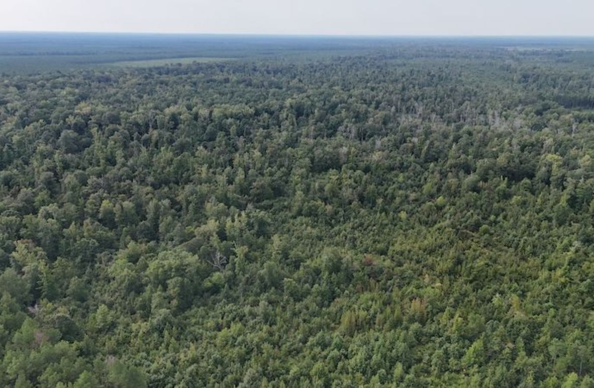 DJI_20250814091942_0061_D