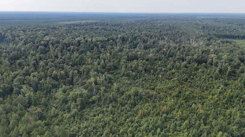 DJI_20250814091942_0061_D