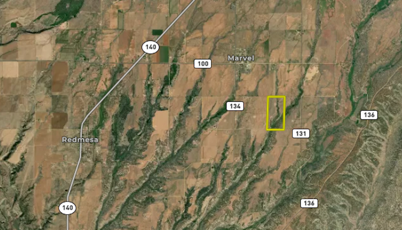 Screenshot 2024-08-12 at 10.21.53 AM