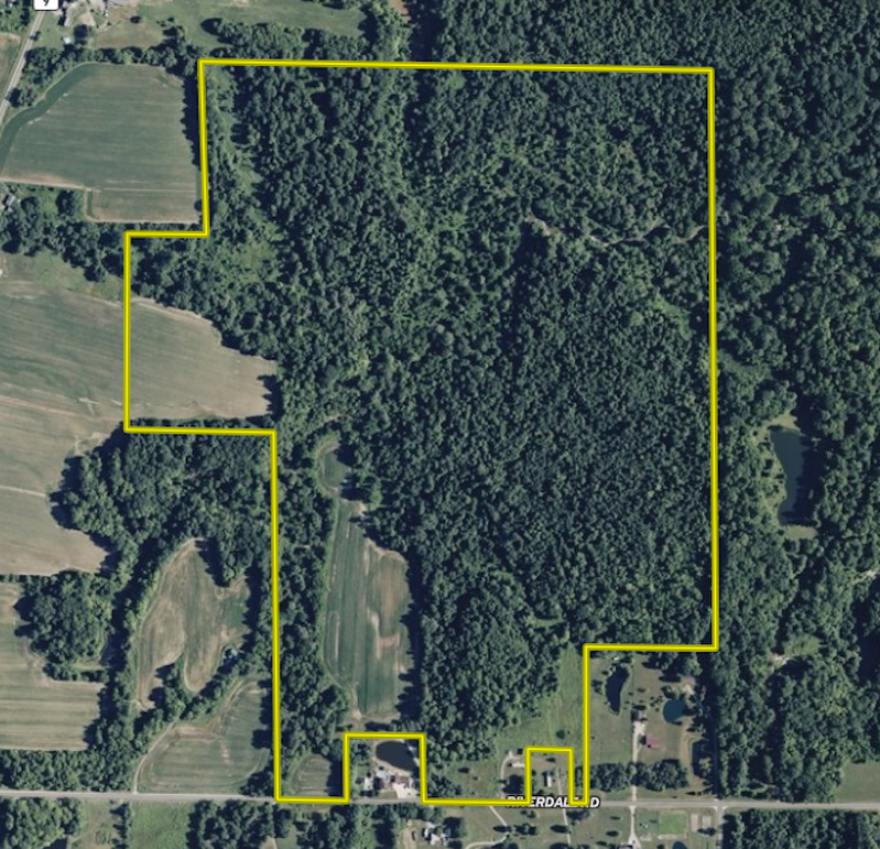 Screenshot 2026-01-13 at 9.54.46 AM