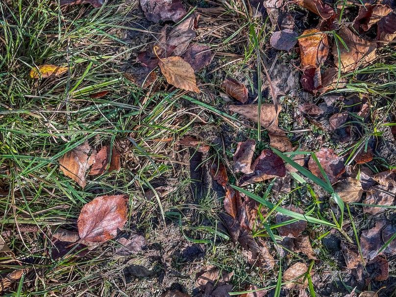 Clark 24.75 Winkel -33