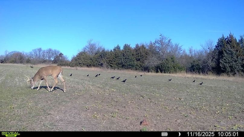 016578002025259-100-3-11162025100501-SYFW12341