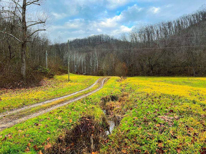 Calhoun, WV 225.69 AC Duffield-25