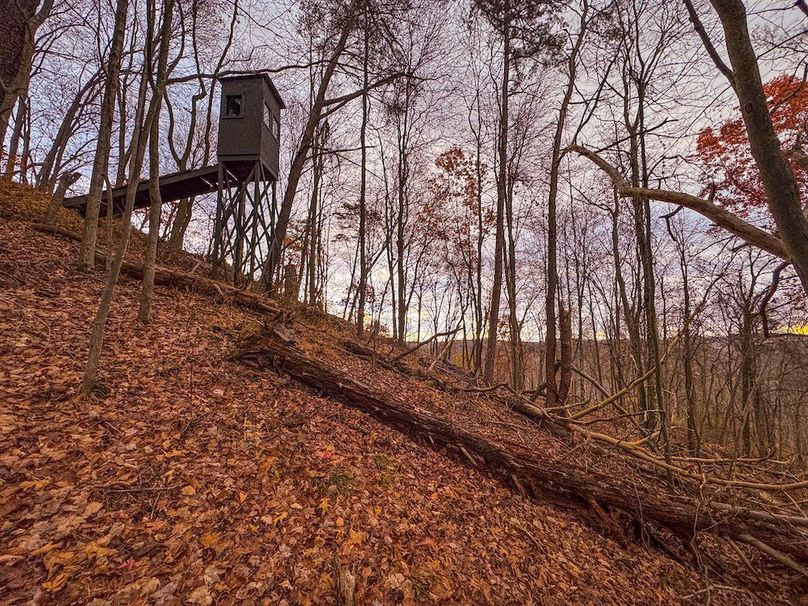 Ritchie, WV 14.081 AC Currey-34