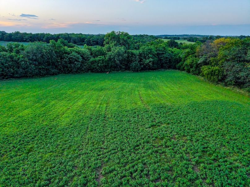 DJI_20250723202848_0442_D