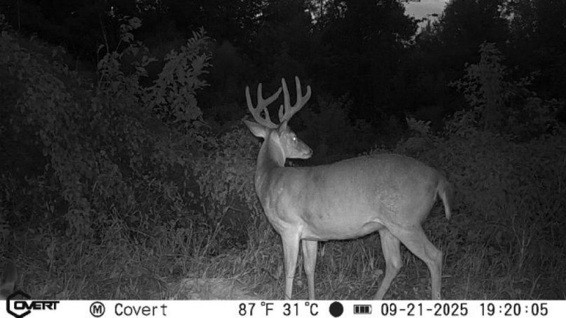 09_21_2025_19_20_05_3179063622