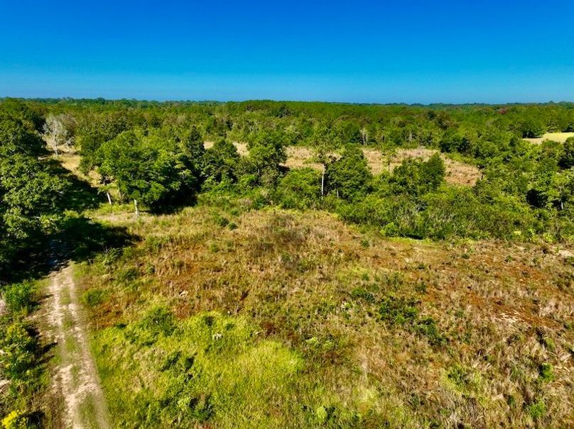 68EA0E4B-6388-408C-9BDB-DC5900BD122C_1_105_c