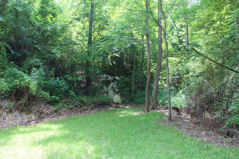 012 small field area near the old homestead