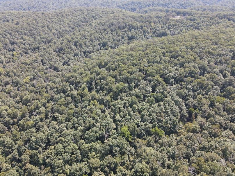 dji_fly_20250818_150714_661_1755547687272_photo