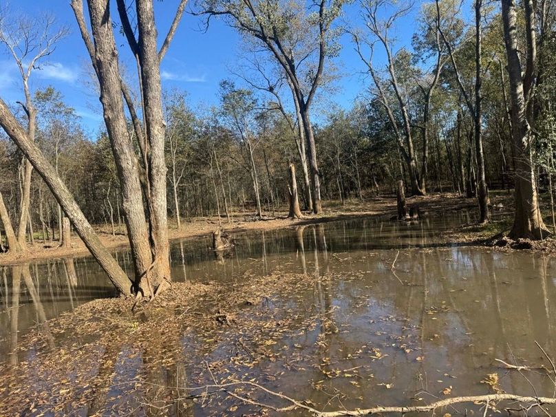 1a1 jeff 8320251111_0274