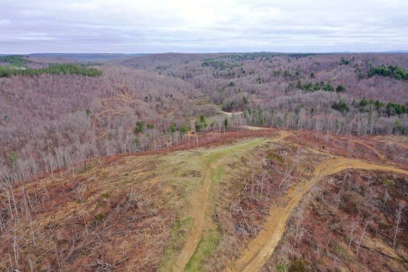 DJI_0454