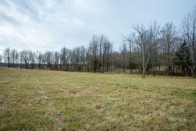 Copy of DSC00711 Large