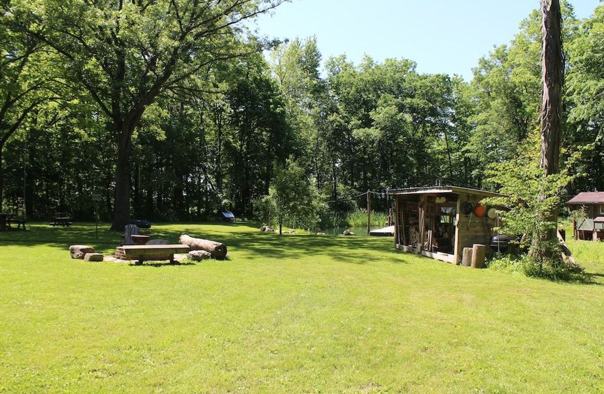 back yard 6