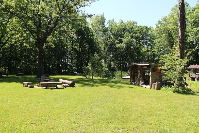 back yard 6