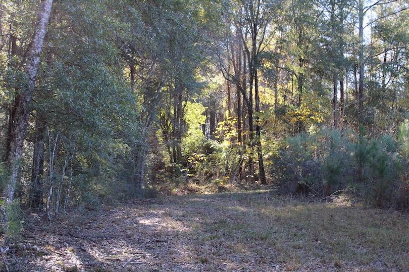 DB7C45B9-D918-4D82-BA7A-64ECE14118E4