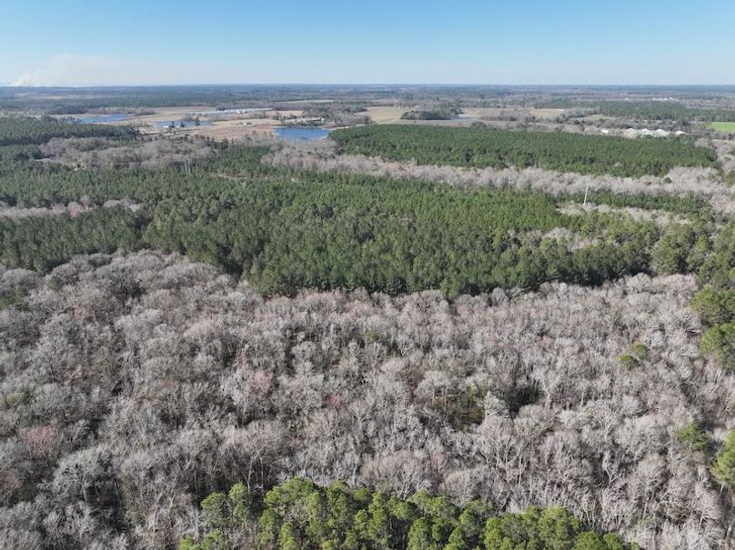 dji_fly_20240207_104128_55_1707320787463_photo