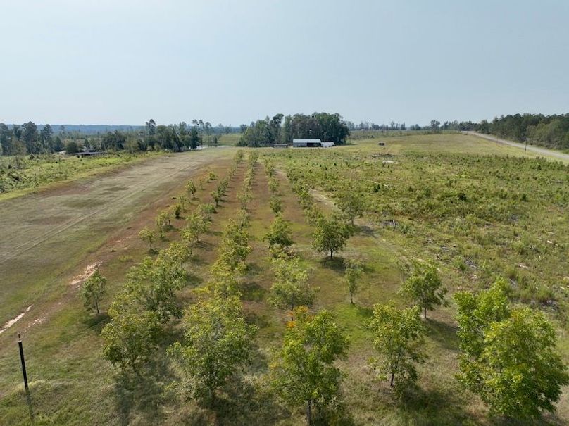 dji_fly_20250918_112516_193_1758209476066_photo