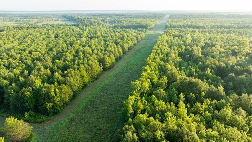 MadisonParLa1372-092