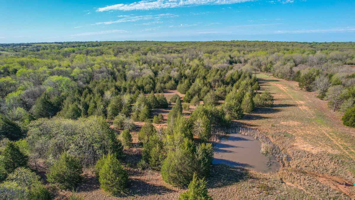 Incredible Raw Acreage In Oklahoma Whitetail Properties