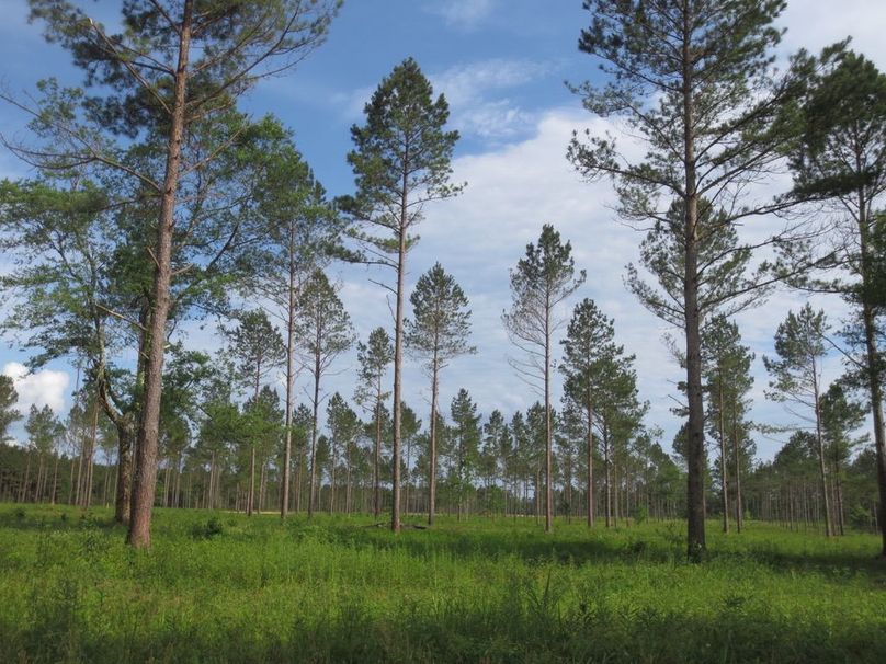 CAA1ADDC-6512-4F43-B688-775297ECF2AF_1_105_c