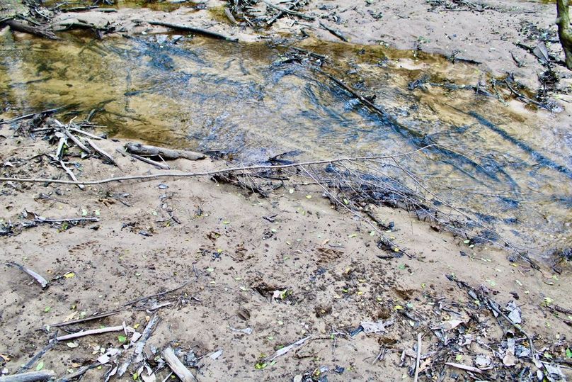 7784350A-A06D-4C90-B096-CBFA95D6F012_1_105_c