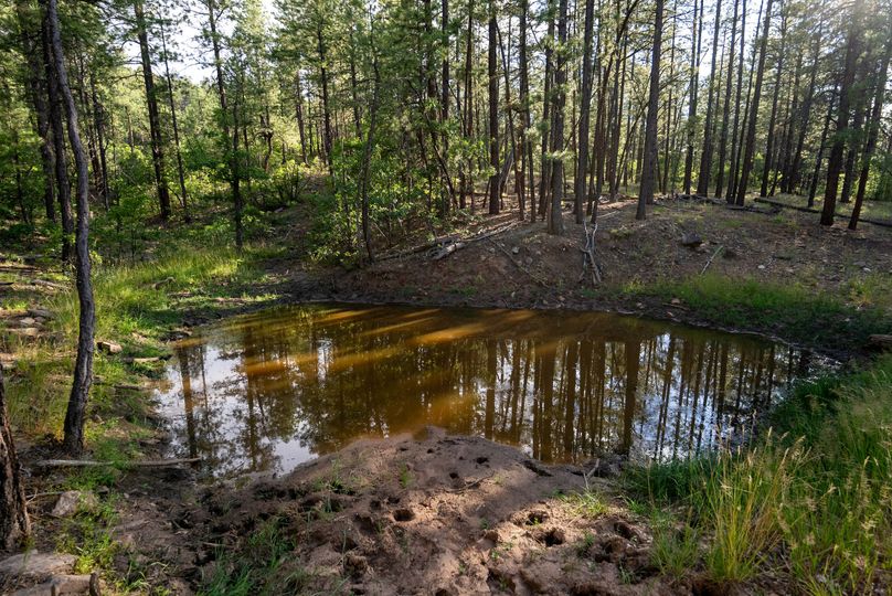 Cibola NM 13,053-06057