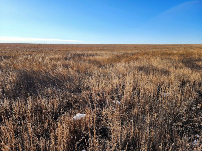 Copy of 20230208_085746