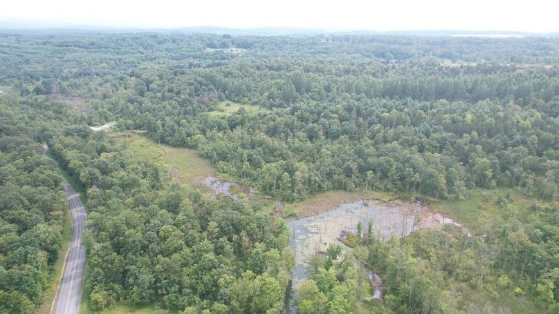 dji_fly_20250804_152204_482_1754355827360_photo