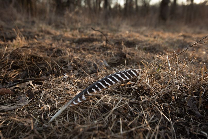 WORTH CO MO 537.44_36