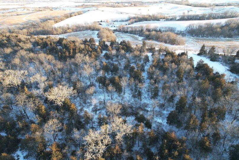 DJI_0484